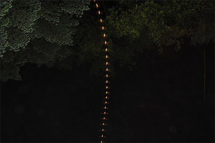northern sky movement light